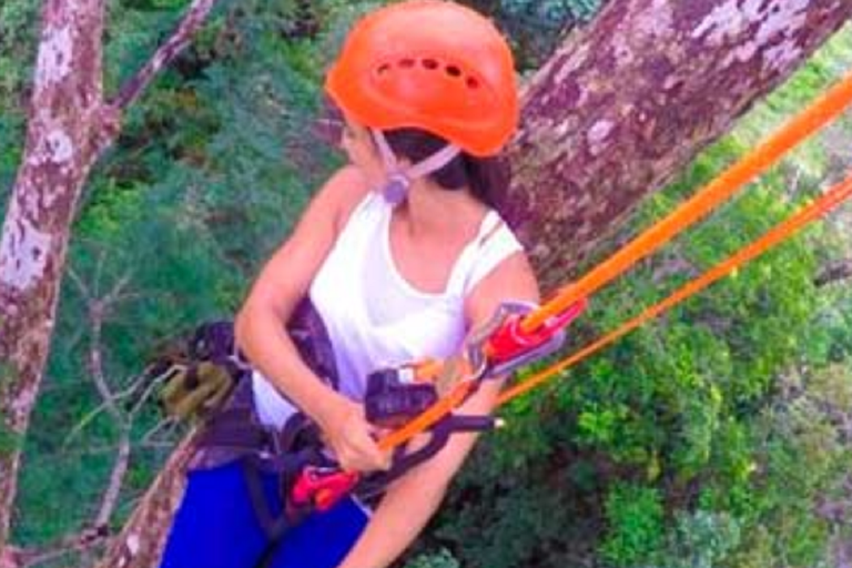 Manaus: Adventure Tree Climbing