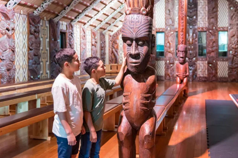 Waitangi Treaty Grounds Guided Tour