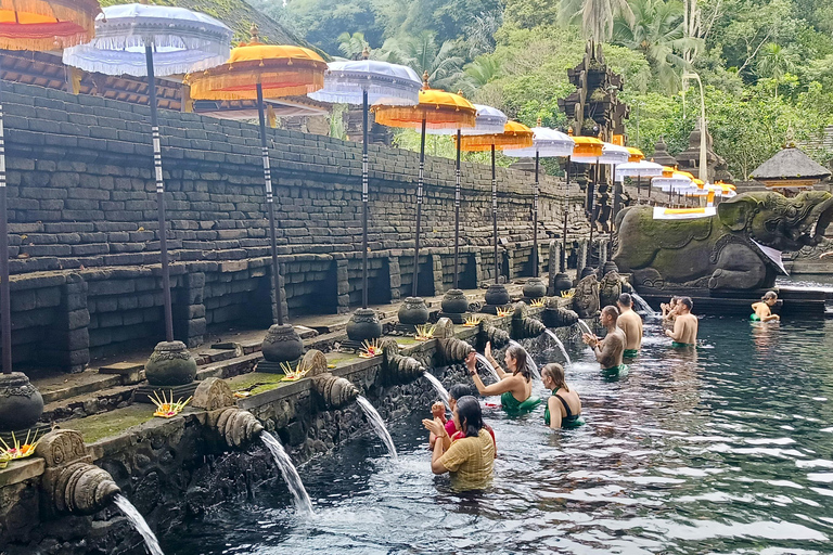 Bali: Holy Spring Temple Tour with Purification Ritual Basic Package Purification Ritual