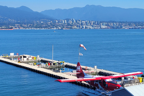 Recorrido en Coche por Vancouver: Ver todas las atracciones de la ciudad/Ahorrar tiempo y dinero