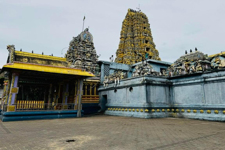 Kandy: Sigiriya & Dambulla Cave Temple Tour with Local Guide Kandy: Sigiriya & Dambulla Cave Temple Day Tour by Car / Van