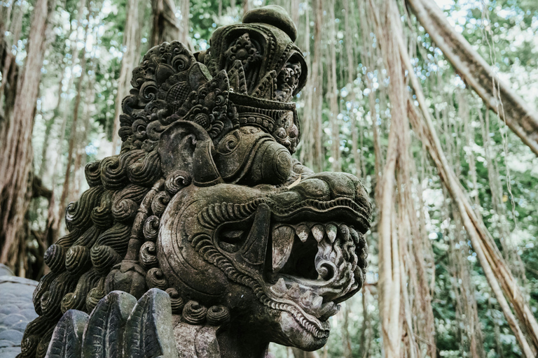 Ubud, Monkey forest, Riceterace Waterfall, Purification Ubud Tour Include Enterance Tickets