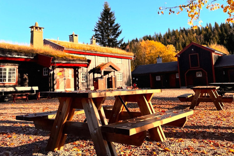 Oslo’s Mountain Flavors: Forest Walk & Bonfire Tasting