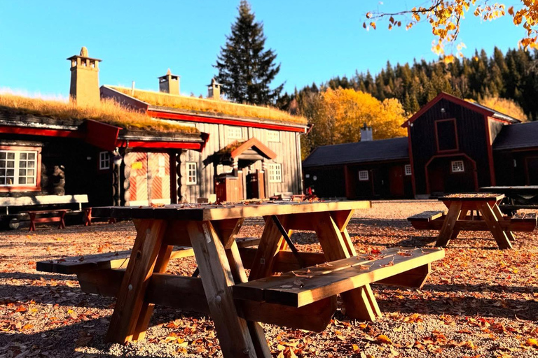 Oslo’s Mountain Flavors: Forest Walk & Bonfire Tasting