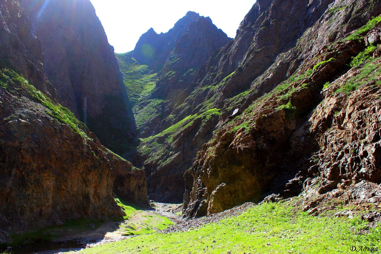 Circuit dans le Gobi doré