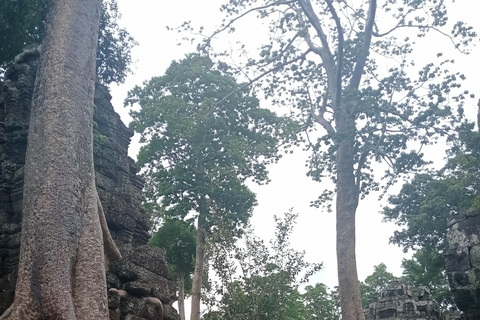 Siem Reap: Angkor 1-dniowa wycieczka grupowa z włoskim przewodnikiemWycieczka w małej grupie w języku włoskim