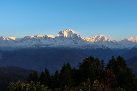 Pokhara: Caminhada fácil de 5 dias para Ghandruk e Ghorepani