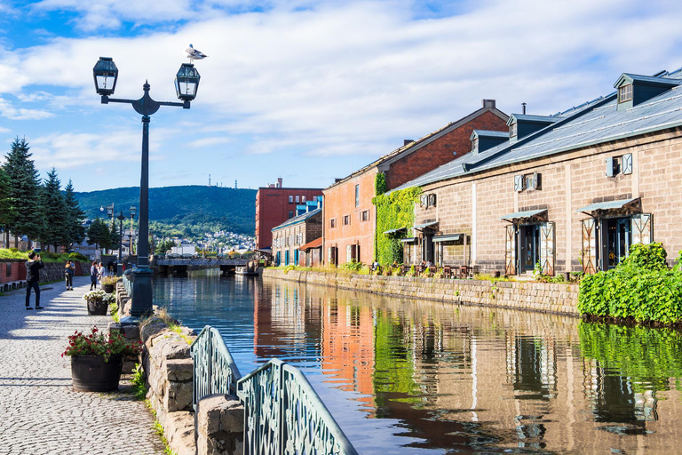 من سابورو: جولة بصحبة مرشد سياحي في أوتارو ويويتشي مع مركبةميني فان حتى 4