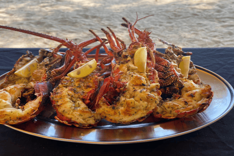 Bateau privé à l&#039;Île aux Bénitiers : Plongée en apnée avec les dauphins et homardBateau privé Île aux Bénitiers : Nage avec les dauphins et homard