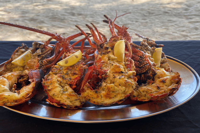 Bateau privé à l&#039;Île aux Bénitiers : Plongée en apnée avec les dauphins et homardBateau privé Île aux Bénitiers : Nage avec les dauphins et homard