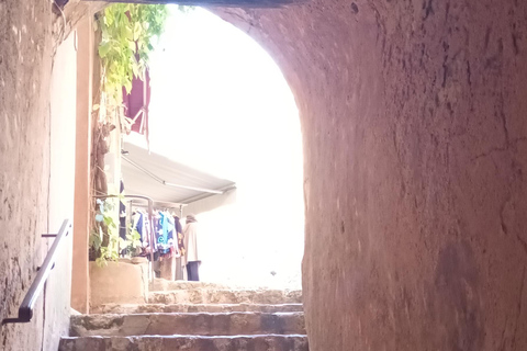 夏季之旅，4天/ 3晚，骑电动自行车探索普罗旺斯夏季之旅，4天/3夜，骑电动自行车探索普罗旺斯