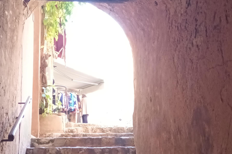 夏季之旅，4天/ 3晚，骑电动自行车探索普罗旺斯夏季之旅，4天/3夜，骑电动自行车探索普罗旺斯