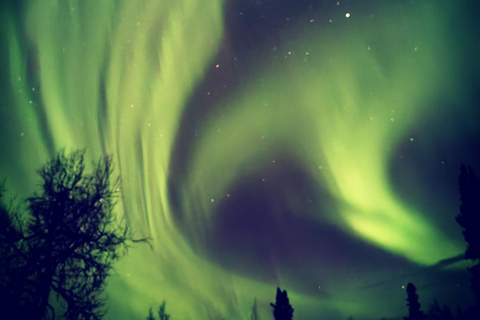 Luleå: Reindeer Sled Ride and Northern Lights Tour