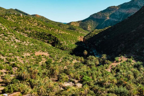 Agadir Paradise Valley & Tizgui Oasis: Swimming & Fish Spa