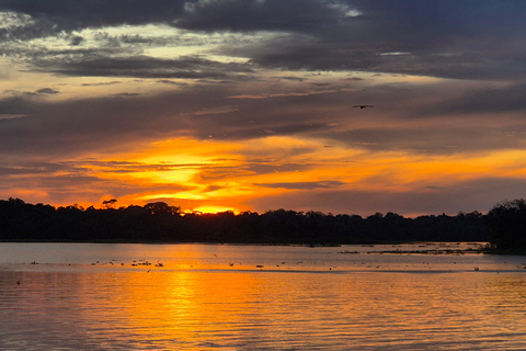 Manaus: Private Amazon Sunset and Night Tour by Speedboat