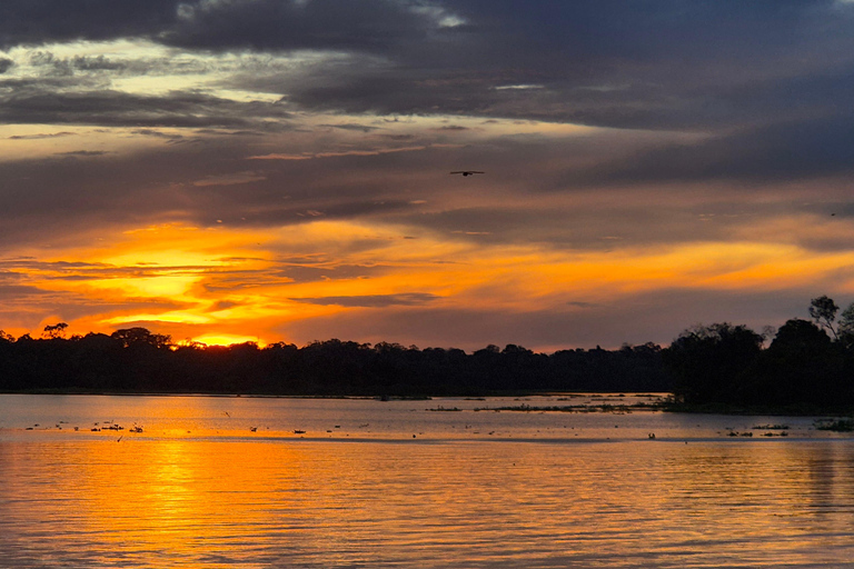 Manaus: Private Amazon Sunset and Night Tour by Speedboat