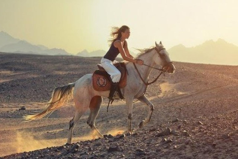 Sharm: Arabian Adventure Horse Ride & Camel Ride ze śniadaniemPrzejażdżka konna o zachodzie słońca i przejażdżka na wielbłądzie z kolacją