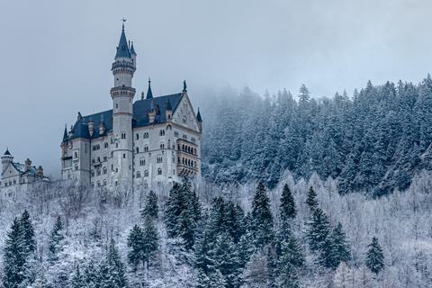 Munich - Neuschwanstein Castle+Linderhof Private Tour