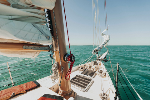 Dia Premium de vela, mergulho com snorkel e caiaque com almoço