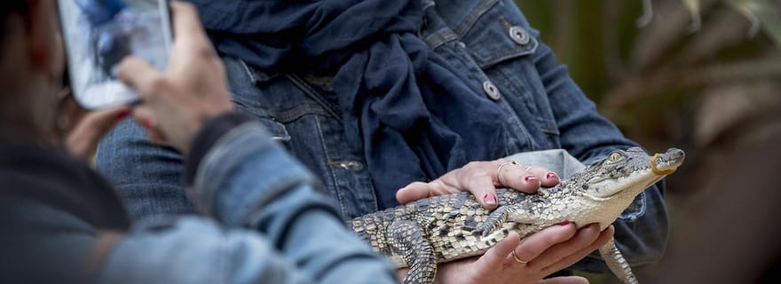 Djerba : Exploration et parc aux crocodiles avec prise en charge pratique