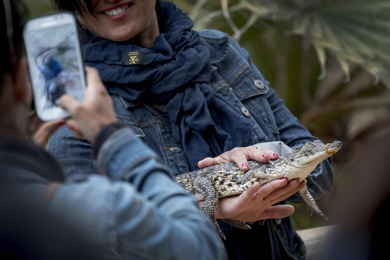 Djerba: Visita ao Djerba Explore &amp; Crocodile Park com traslado