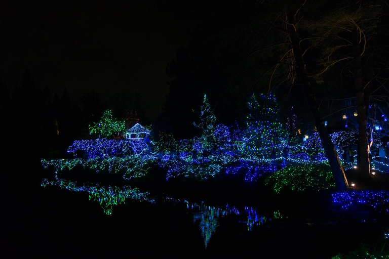 فانكوفر: جولة أضواء العطلات في المدينة وحديقة فاندوسن