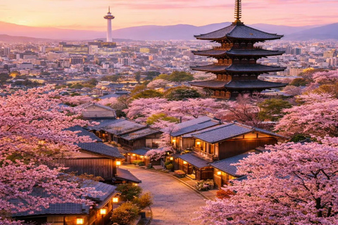 Kyoto / Nara : Kyoto & Nara Private Tour with Driver / Guide Kyoto : Kyoto Private Tour Up To 3 Persons