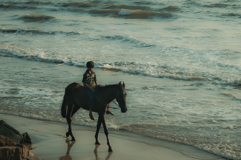 Negril: Beach HorseRide Experience with Free Photos & Videos