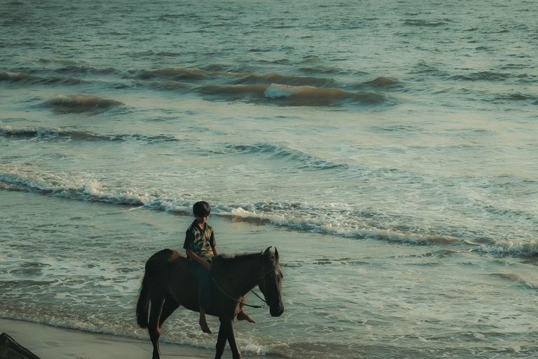 Negril: Beach HorseRide Experience with Free Photos & Videos