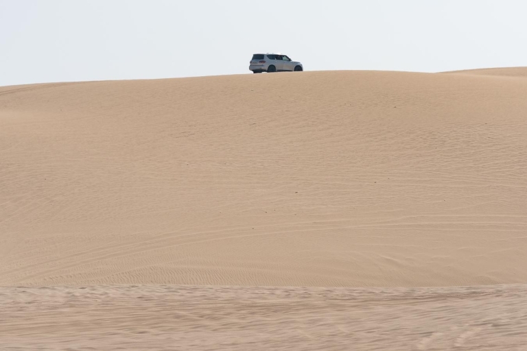 Safari dans le désert du Qatar (planche à voile, balade à dos de chameau)DESERT