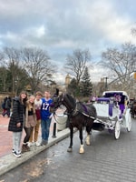 NYC, viaje privado de carruaje de caballos de Central Park con guía - Housity