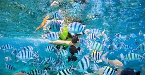 Nha Trang Island Hopping: Hon Mun Coral Reef Speedboat Tour