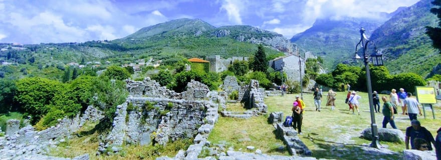 Bar : Tour de ville avec visite du musée et du vieil olivier