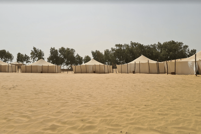 Von Dakar: 2-tägige Tour in die Lompoul-Wüste mit KamelrittVon Dakar: 2-tägige Tour in die Wüste Lompoul mit Kamelritt