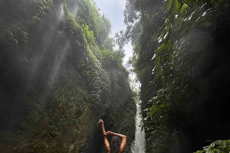 Bali : Explorez le nord de Bali Visite privée personnalisée d&#039;une journéeVoyage au nord de Bali D