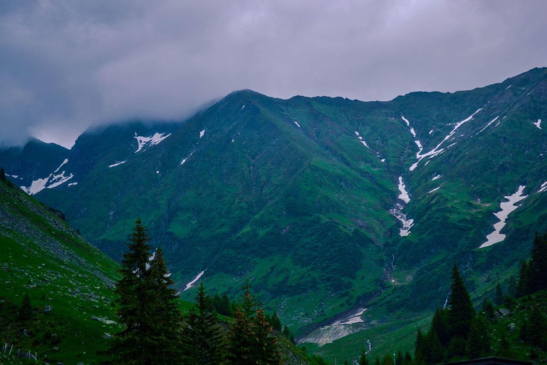 Bucharest Private Transylvania Day Trip: Peles Bran & Brasov