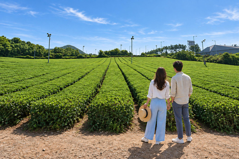 Jeju: Southwest & West Coast Highlights Full Day Bus Tour