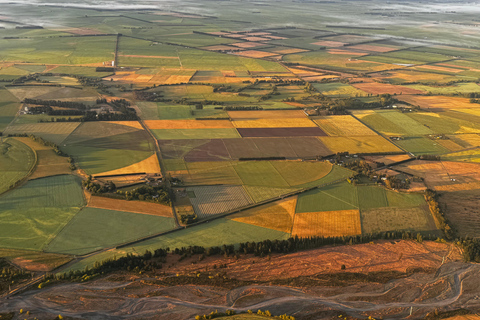 Canterbury Plains: Sunrise Hot Air Balloon Flight