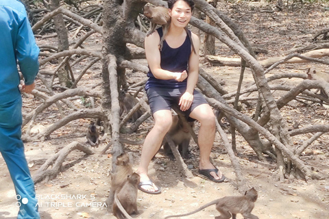 Visite d&#039;une jounée de la forêt de mangroves de Can Gio et de l&#039;île aux singes