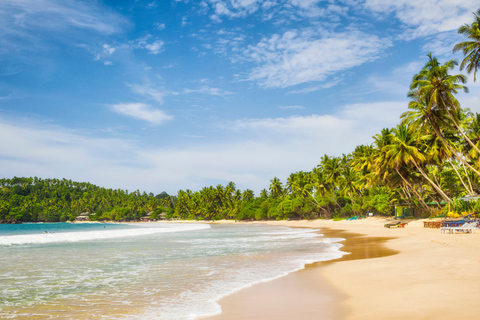 Colombo: 4-day Sri Lanka Full Circle Tour with East Coast Sri Lanka Full Circle 4-day Tour with East Coast