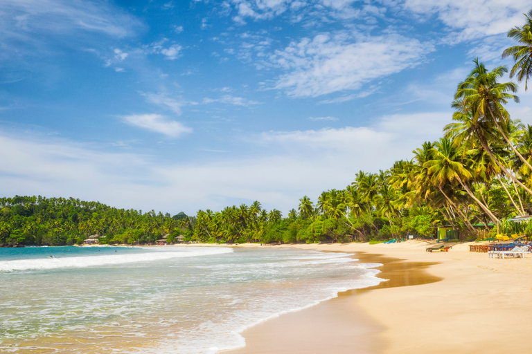 Colombo: 4-day Sri Lanka Full Circle Tour with East Coast Sri Lanka Full Circle 4-day Tour with East Coast