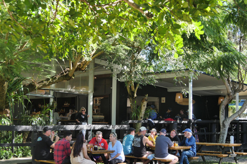 Brisbane: Kroegentocht op een eiland met lunch en snelle boot