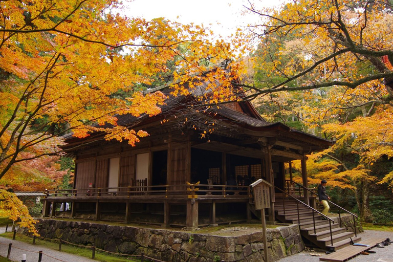 Lake Biwa & Omi Hachiman Day Tour from Osaka or Kyoto Departure from Osaka