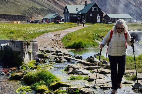 Reykjavík: Landmannalaugar i Dolina Łez w super 4x4