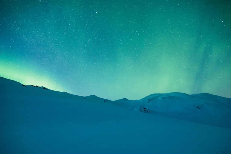 Levi: Northern Lights Hunt with Hot Drink