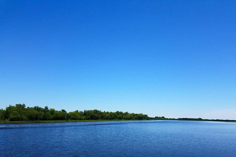 Nowy Orlean: Ultimate Small Airboat Swamp TourZ odbiorem