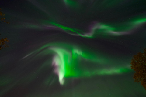 Tromsø: Northern Lights Tour – Unlimited Chase & Free Photos 6-8 Hours, Aurora chase, Comfortable bus, Photos included