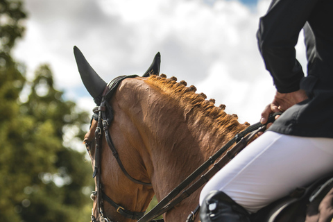 Windsor: Royal Horseback Ride Through Great Park & Deer Park