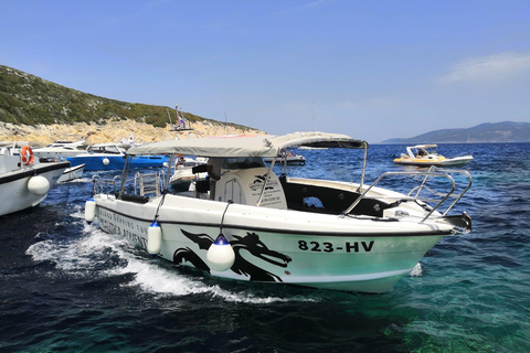 From Hvar: Unforgetable Tour to the Island Vis and Blue Cave