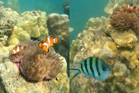 Pattaya : circuit d&#039;une journée dans les 3 îles en catamaran avec fêtePattaya : excursion d&#039;une journée sur le bateau pirate Black Pearl avec soirée DJ